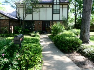 house_without_flowers