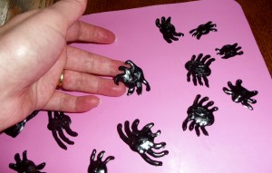 spider2