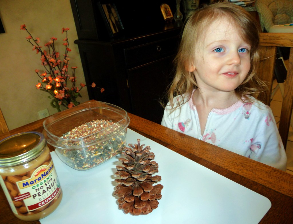 pinecone1