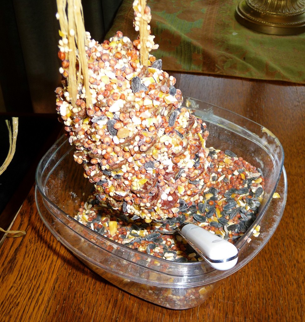 pinecone4
