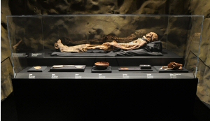 mummy