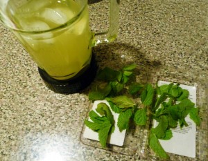 mintlemonaid 002