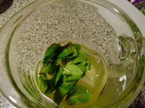 mintlemonaid 007