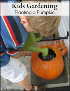 kids-gardening-planting-a-pumpkin-title