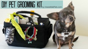 DIY-Pet-Grooming-Kit-by-IrresistiblePets.com_
