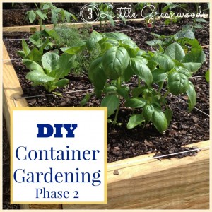 gardenbutton2-1024x1024