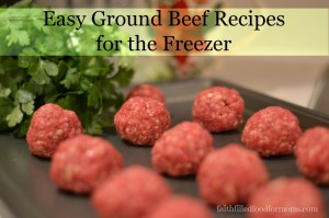 Easy-Ground-Beef-Recipes-for-the-Freezer-1024x682
