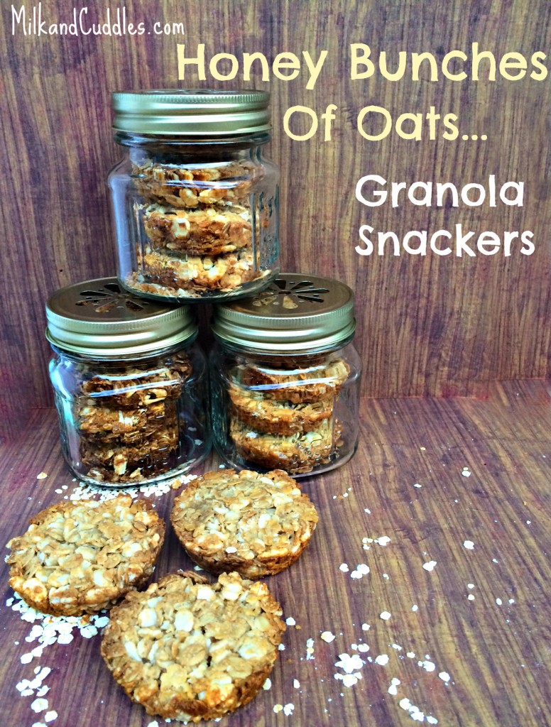 Granola Snackers recipe