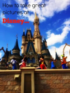 pictures at disney