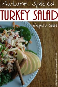 autumn-spiced-turkey-salad-www-groundedandsurrounded